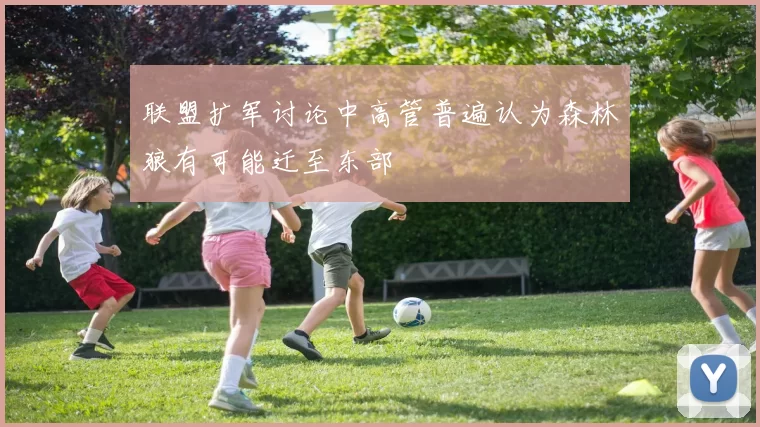 联盟扩军讨论中高管普遍认为森林狼有可能迁至东部
